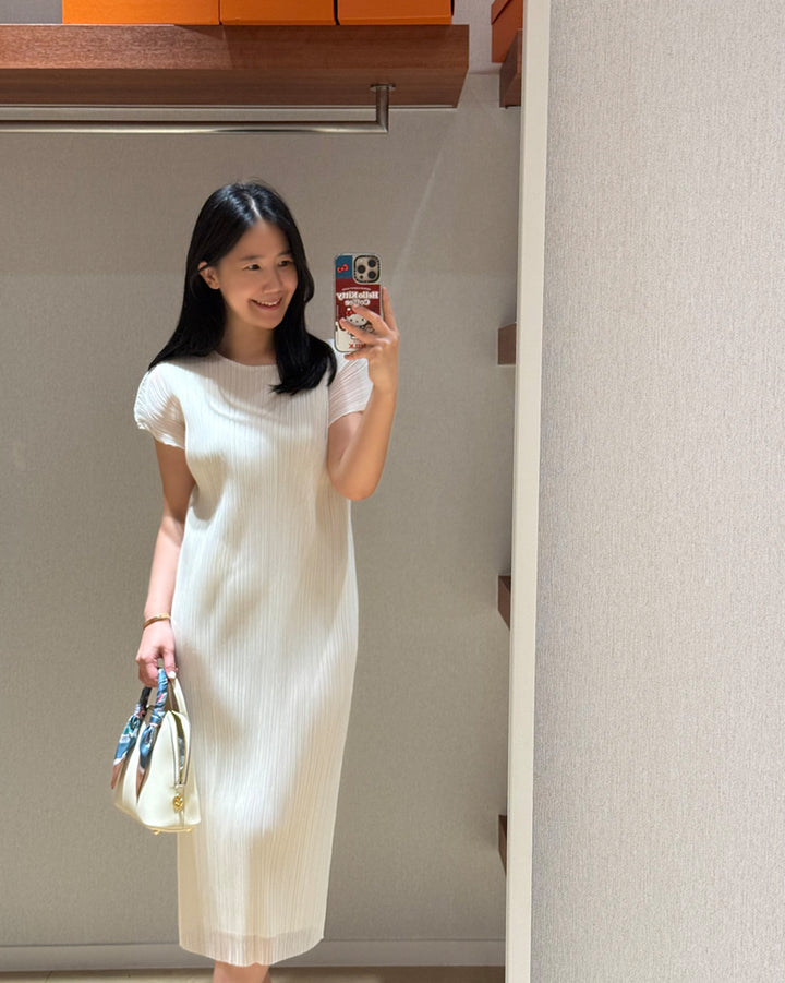 Fine Pleated Sheer Maxi Dress