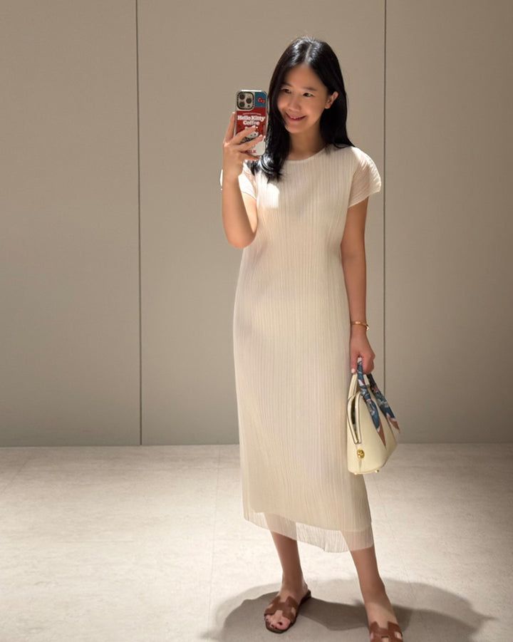 Fine Pleated Sheer Maxi Dress