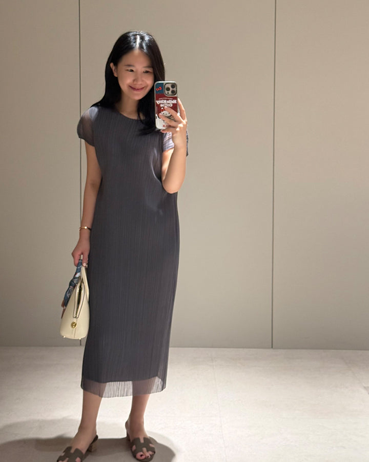 Fine Pleated Sheer Maxi Dress