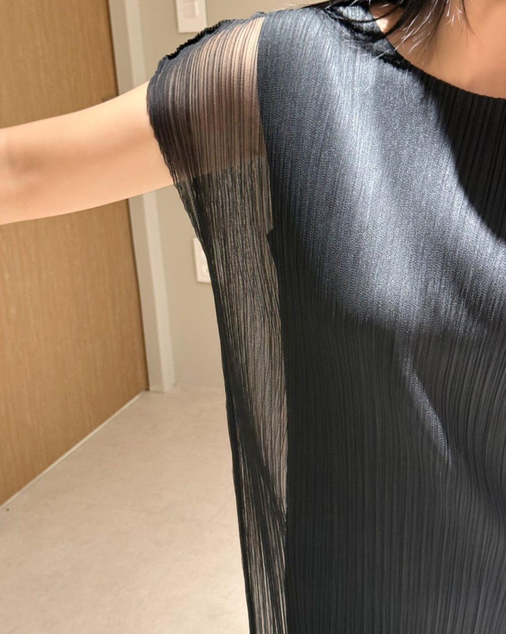 Fine Pleated Sheer Maxi Dress