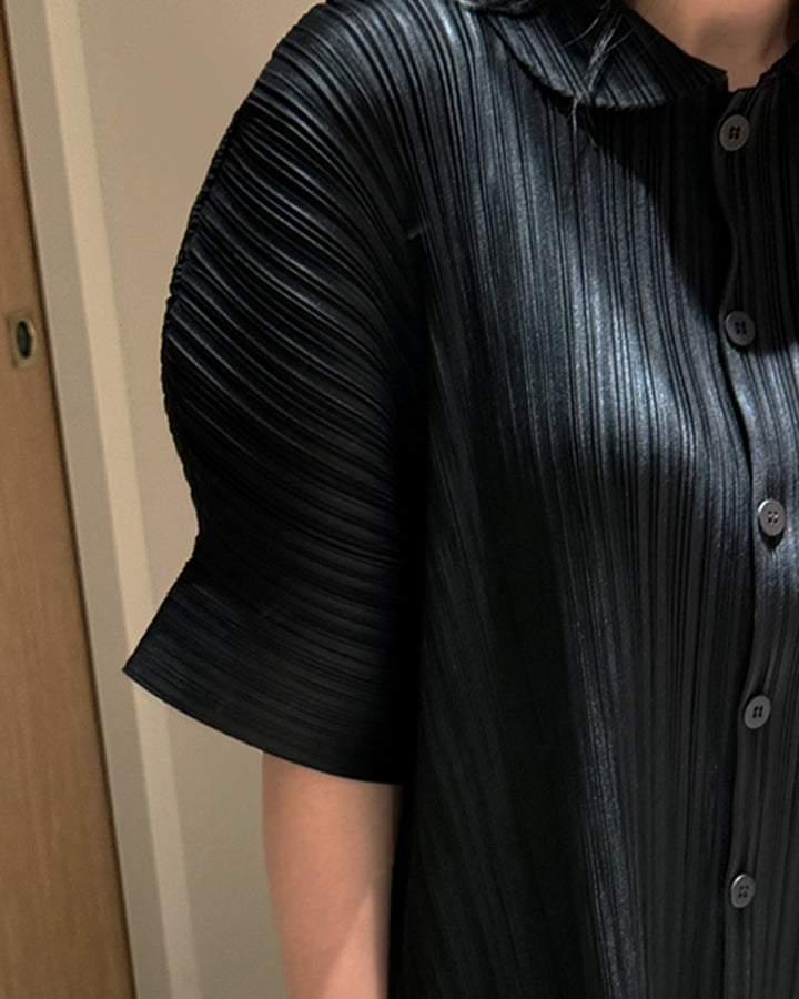 Textured Pleated Button-Down Blouse